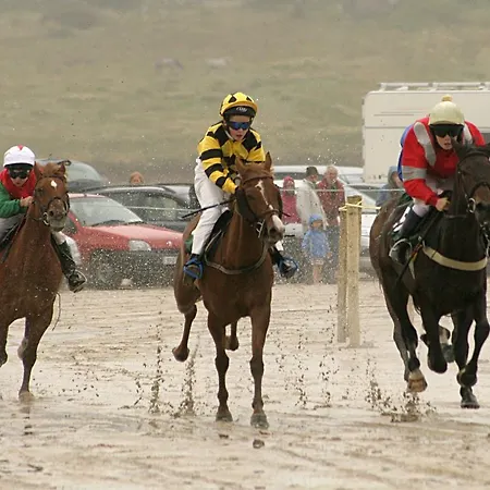 Bed & Breakfast Castlehouse Renvyle